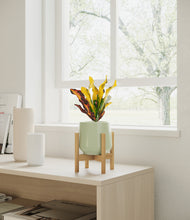 Load image into Gallery viewer, Turquoise stand:bamboo