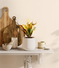 Load image into Gallery viewer, White