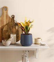 Load image into Gallery viewer, Deep Navy