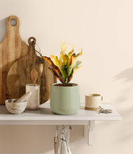 Load image into Gallery viewer, Turquoise