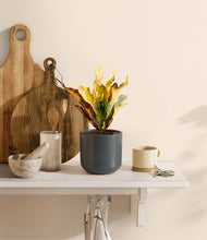 Load image into Gallery viewer, Iron Gray