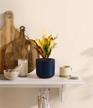 Load image into Gallery viewer, Twilight Blue