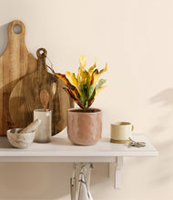 Load image into Gallery viewer, Hammered Peach Pink