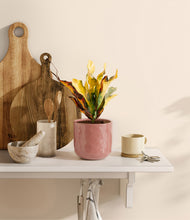 Load image into Gallery viewer, Hammered Rose Pink