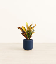 Load image into Gallery viewer, Twilight Blue