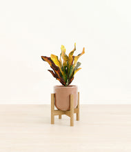 Load image into Gallery viewer, Hammered Peach Pink stand:bamboo