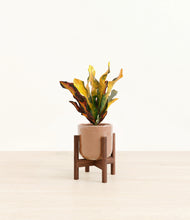 Load image into Gallery viewer, Hammered Peach Pink stand:walnut