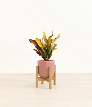 Load image into Gallery viewer, Striped Rose Pink stand:bamboo