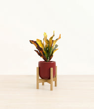 Load image into Gallery viewer, Striped Cherry Red stand:bamboo
