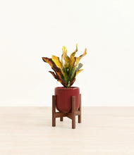 Load image into Gallery viewer, Striped Cherry Red stand:walnut