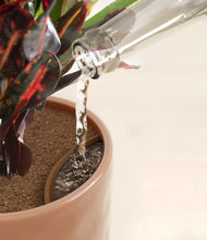 Load image into Gallery viewer, Hammered Peach Pink stand:all