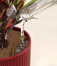 Load image into Gallery viewer, Striped Cherry Red stand:all