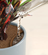 Load image into Gallery viewer, Misty Blue stand:all