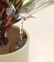 Load image into Gallery viewer, Sage Green stand:all