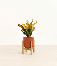 Load image into Gallery viewer, Glossy Red stand:bamboo