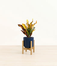 Load image into Gallery viewer, Twilight Blue stand:bamboo