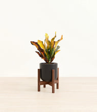 Load image into Gallery viewer, Stone Black stand:walnut