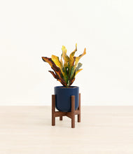 Load image into Gallery viewer, Twilight Blue stand:walnut