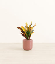 Load image into Gallery viewer, Hammered Rose Pink