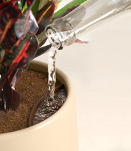 Load image into Gallery viewer, Almond Green stand:all