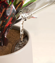 Load image into Gallery viewer, Eternal Gray stand:all