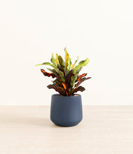 Load image into Gallery viewer, Deep Navy