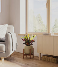 Load image into Gallery viewer, Olive stand:walnut