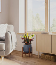 Load image into Gallery viewer, Deep Navy stand:walnut