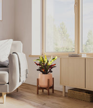 Load image into Gallery viewer, Calm Rose stand:walnut