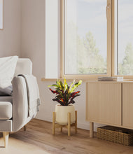 Load image into Gallery viewer, Almond Green stand:bamboo