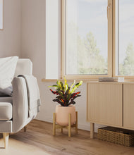 Load image into Gallery viewer, Gentle Pink stand:bamboo
