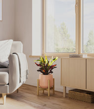 Load image into Gallery viewer, Calm Rose stand:bamboo