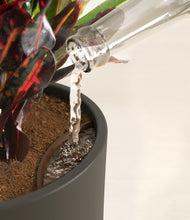 Load image into Gallery viewer, Dark Olive