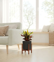 Load image into Gallery viewer, Black stand:walnut