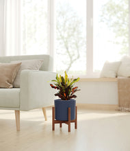 Load image into Gallery viewer, Deep Navy stand:walnut