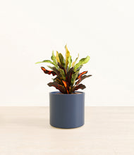 Load image into Gallery viewer, Deep Navy