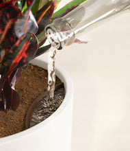 Load image into Gallery viewer, White