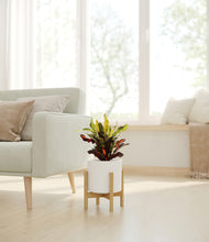 Load image into Gallery viewer, White stand:bamboo