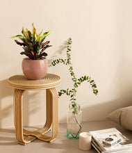 Load image into Gallery viewer, Calm Rose