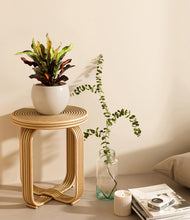 Load image into Gallery viewer, Shiny EggWhite