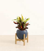 Load image into Gallery viewer, Deep Navy stand:bamboo