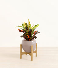 Load image into Gallery viewer, Winter Clouds stand:bamboo