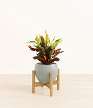 Load image into Gallery viewer, Deep Ocean stand:bamboo