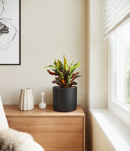 Load image into Gallery viewer, Black