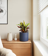 Load image into Gallery viewer, Deep Navy