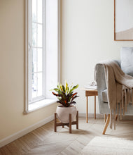 Load image into Gallery viewer, Desert Brown stand:walnut