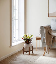 Load image into Gallery viewer, Winter Clouds stand:walnut