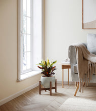 Load image into Gallery viewer, Deep Ocean stand:walnut