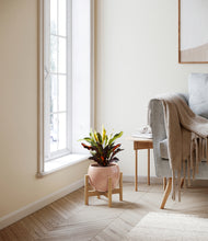 Load image into Gallery viewer, Calm Rose stand:bamboo