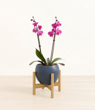 Load image into Gallery viewer, Deep Navy stand:bamboo